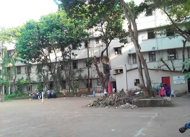 2 BHK Flat for Rent in Kirti College Lane