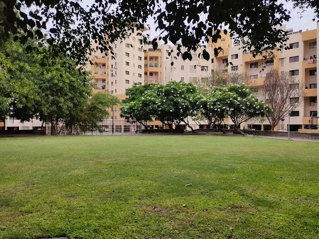 2 BHK Flat for Rent in Magarpatta City