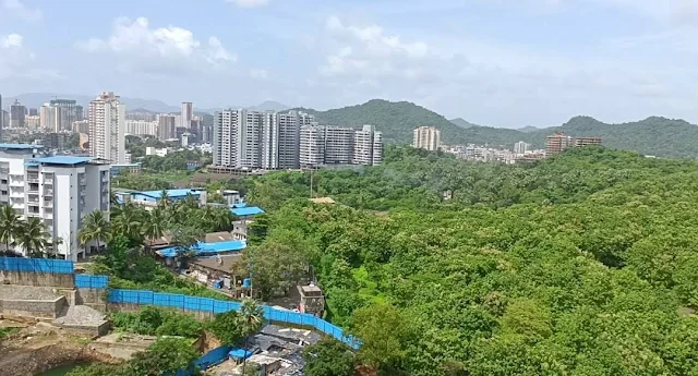 1 BHK Flat for Sale Near Dahisar Check Naka