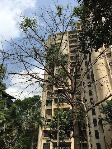 1 BHK Flat for Rent in Vasant Vihar