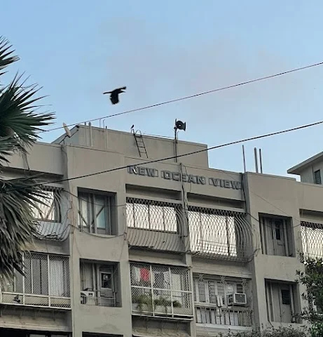 1 BHK Flat for Rent in VERSOVA