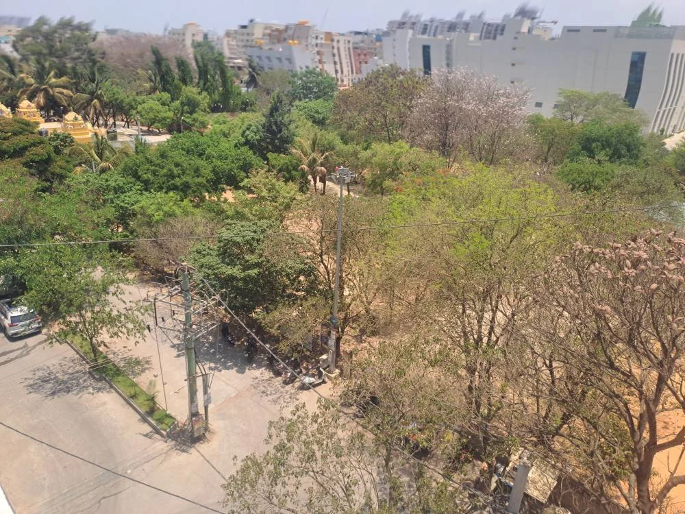 1 BHK Flat for Rent in Electronic City phase 1