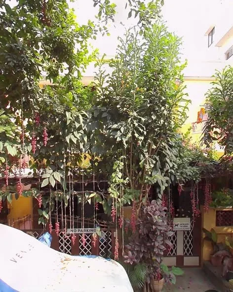 1 BHK Independent House for Rent in Kalyan Nagar