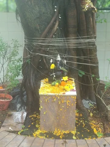 2 BHK Flat for Rent in Union Park