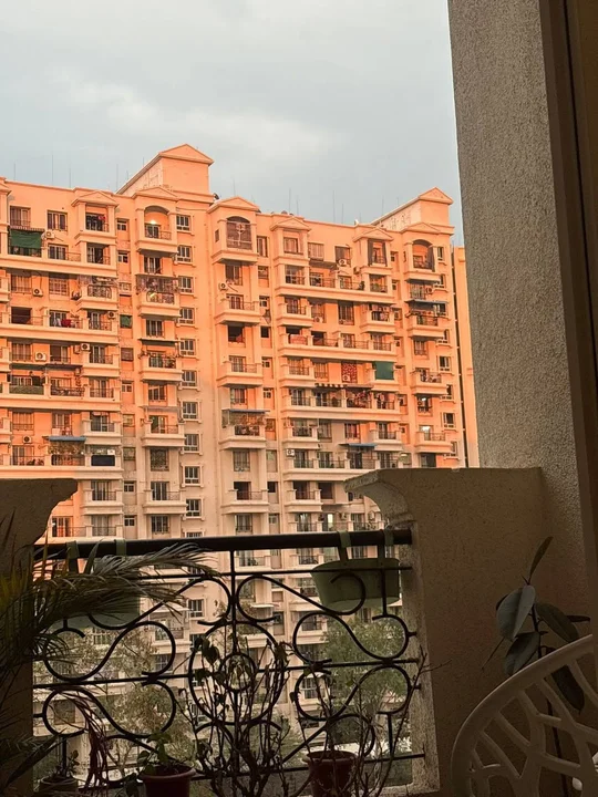 1 BHK Flat for Rent in Baner