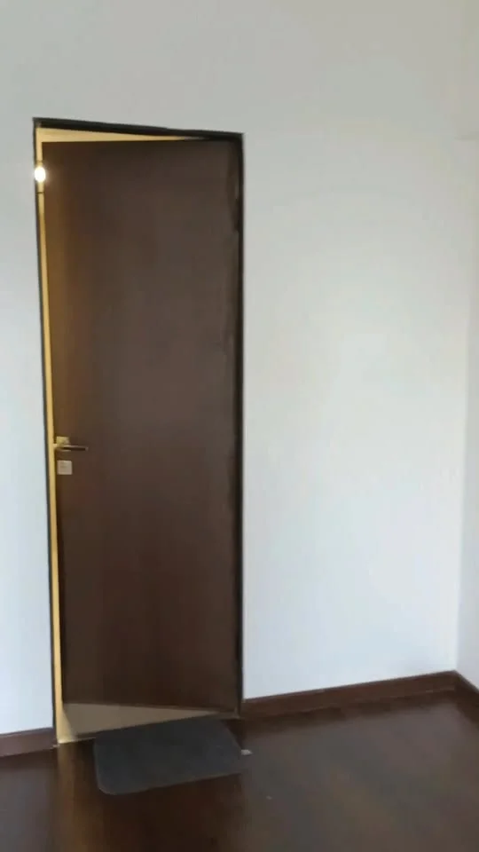 1 BHK Flat for Rent in Gahunje