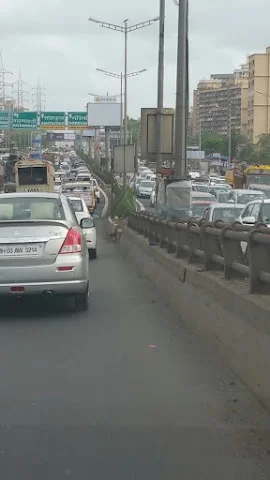 1 BHK Flat for Rent in Samata Nagar