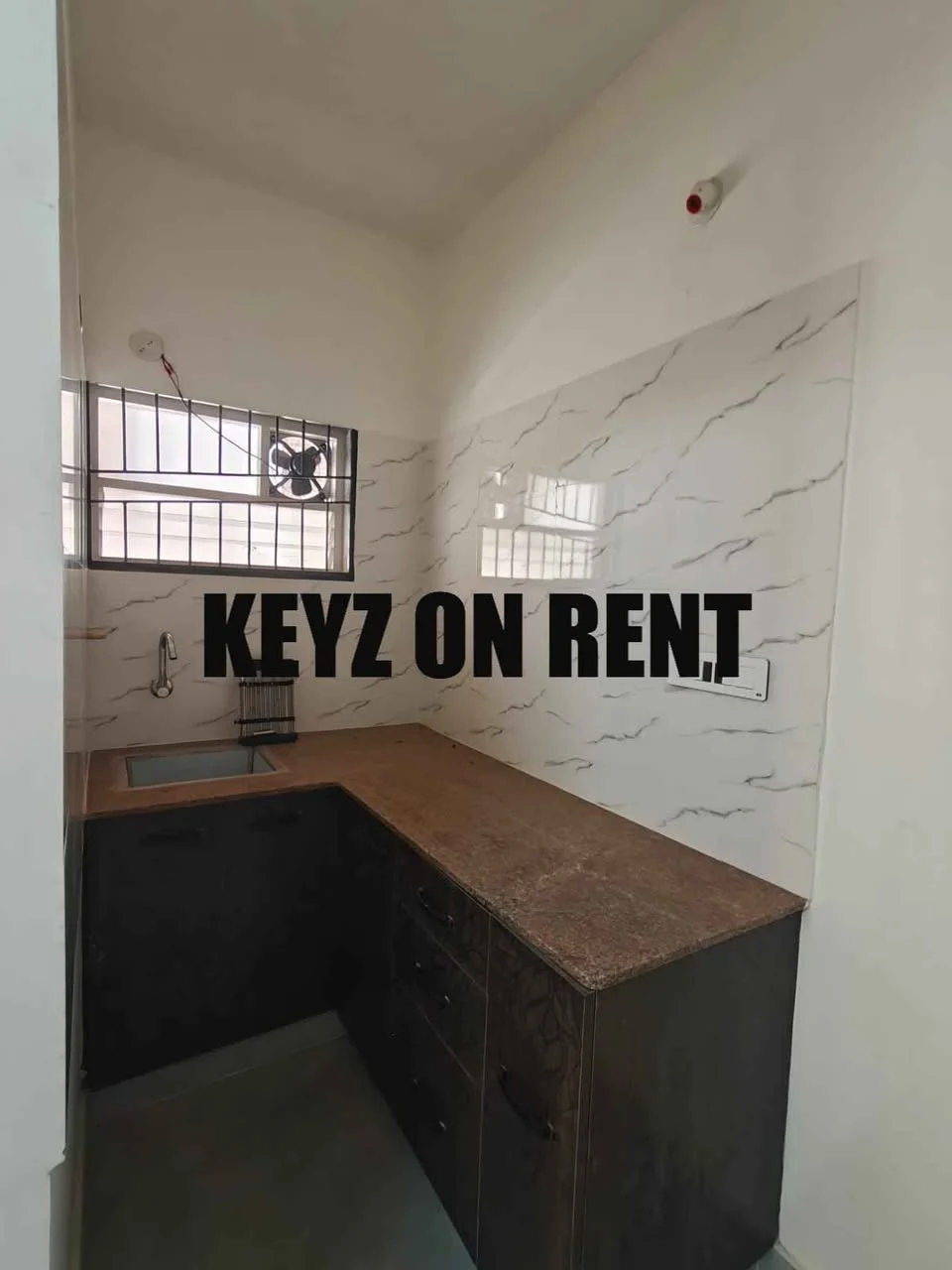 1 BHK Flat for Rent in DOMLUR LAYOUT