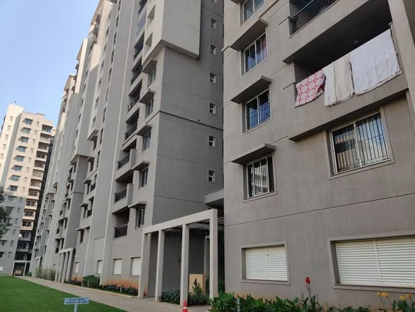 3 BHK Flat for Rent in Sobha Habitat