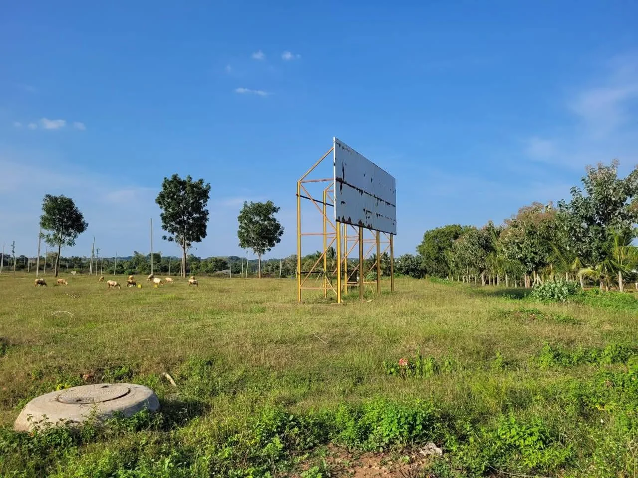 Residential Plot for Sale in NAGAWALA