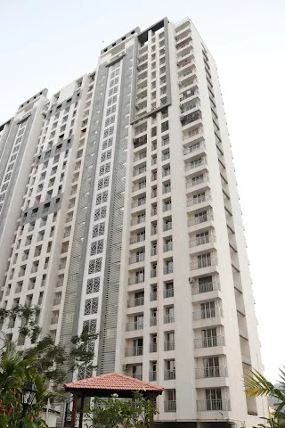 1 BHK Flat for Rent in Various locations