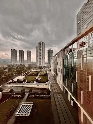 1 BHK Flat for Rent in Sector 8