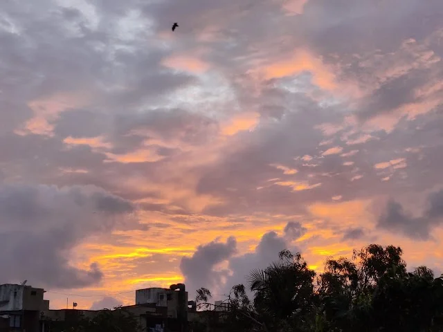 1 BHK Flat for Sale in Versova