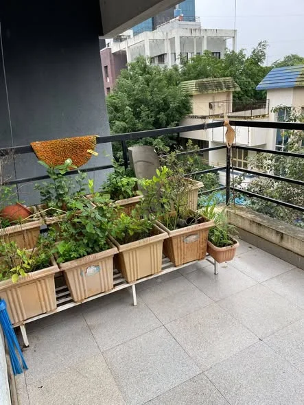 2 BHK Flat for Rent near Dmart