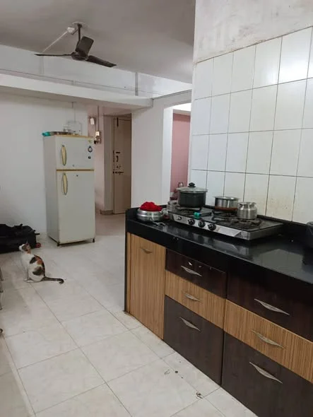 2 BHK Flat for Rent in कोथरूड