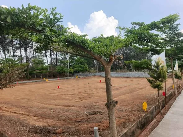 Residential Plot for Sale in Jigani to Anekal Main Road