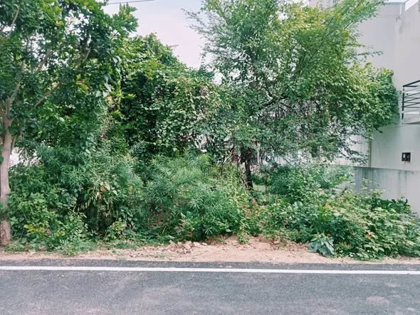 Residential Plot for Sale in 30/40 south Pace Sri ram pura 2 stage