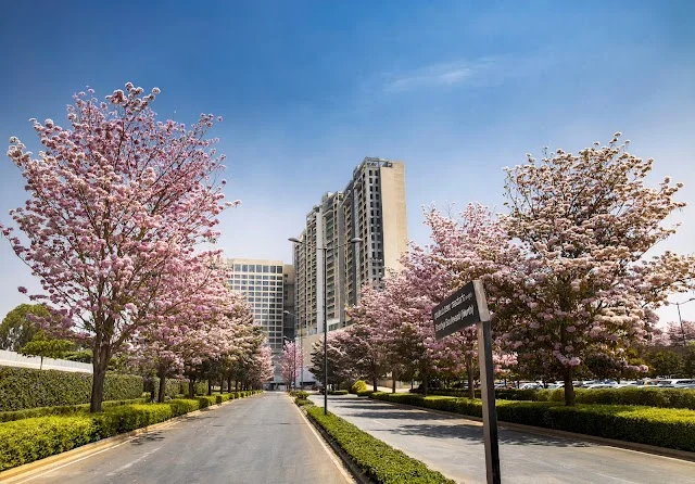 Flat for Rent in Leela Residences