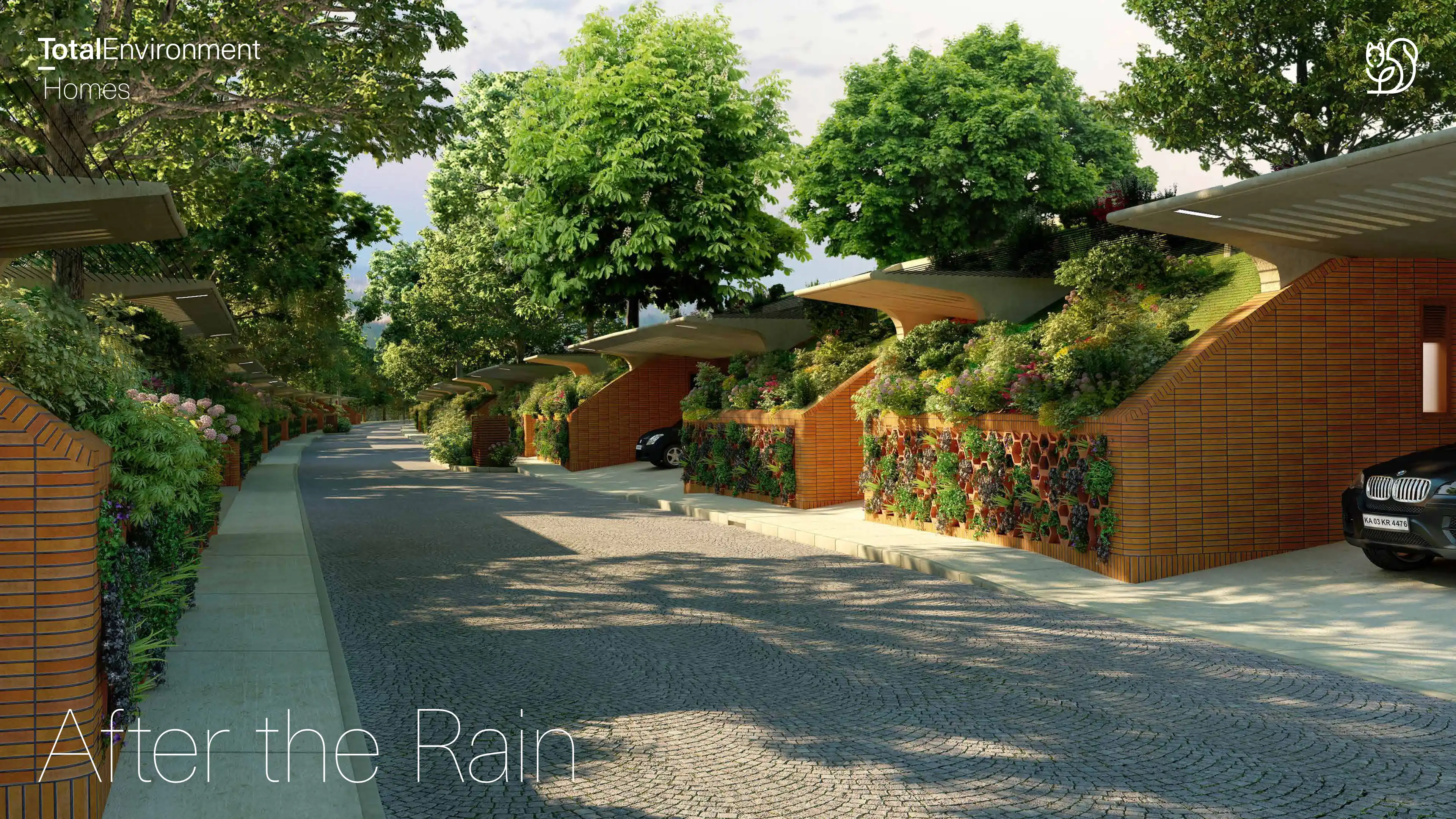 After The Rain Phase II A