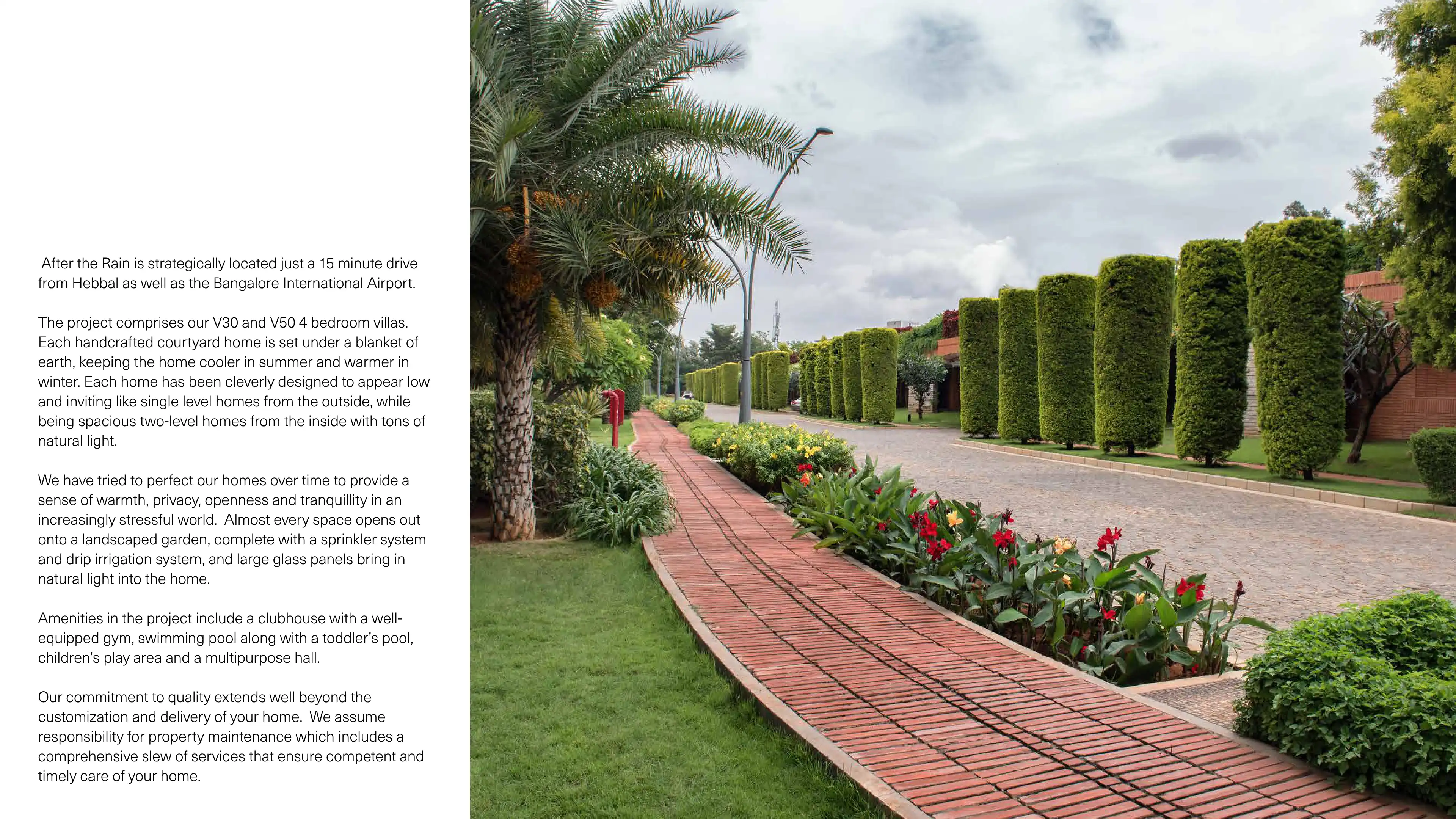 After The Rain Phase II A