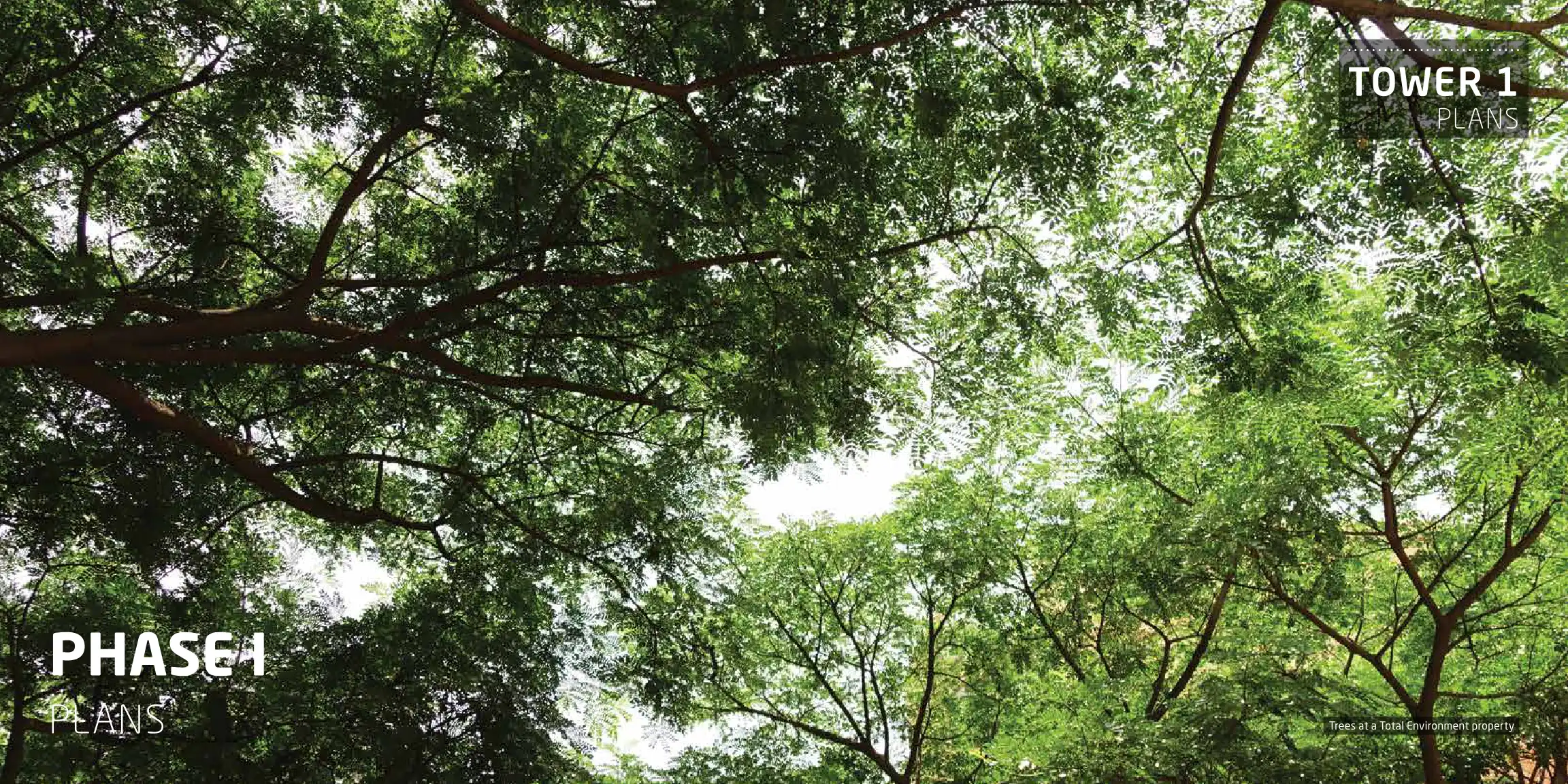 The Magic Faraway Tree Phase 2a