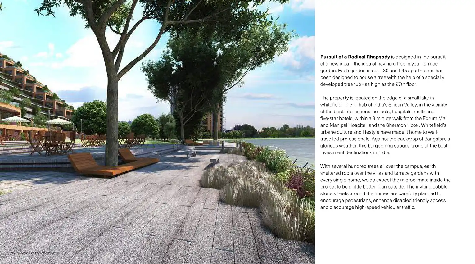 Pursuit of A Radical Rhapsody Phase Iii