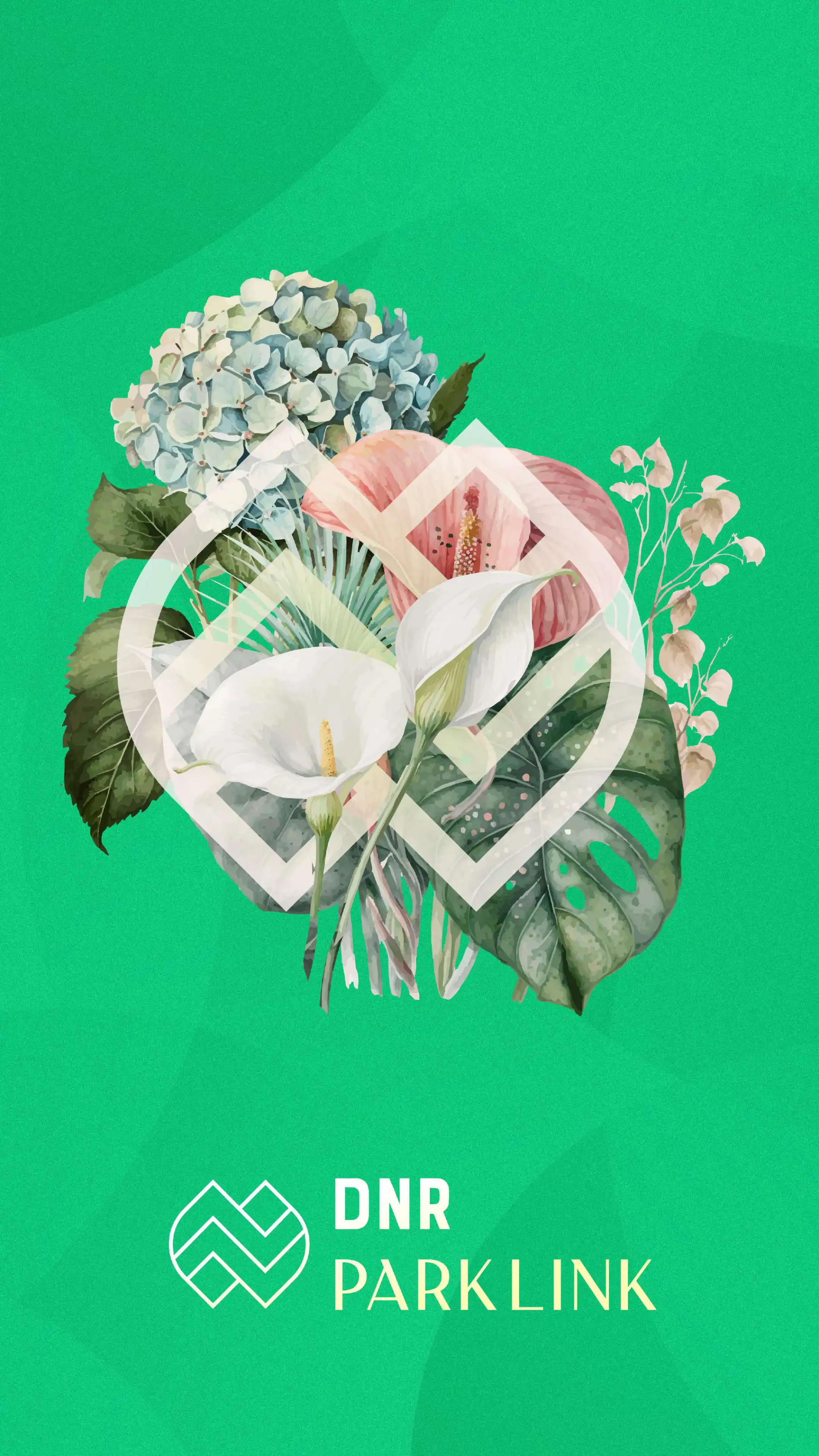 Dnr Parklink Phase 2