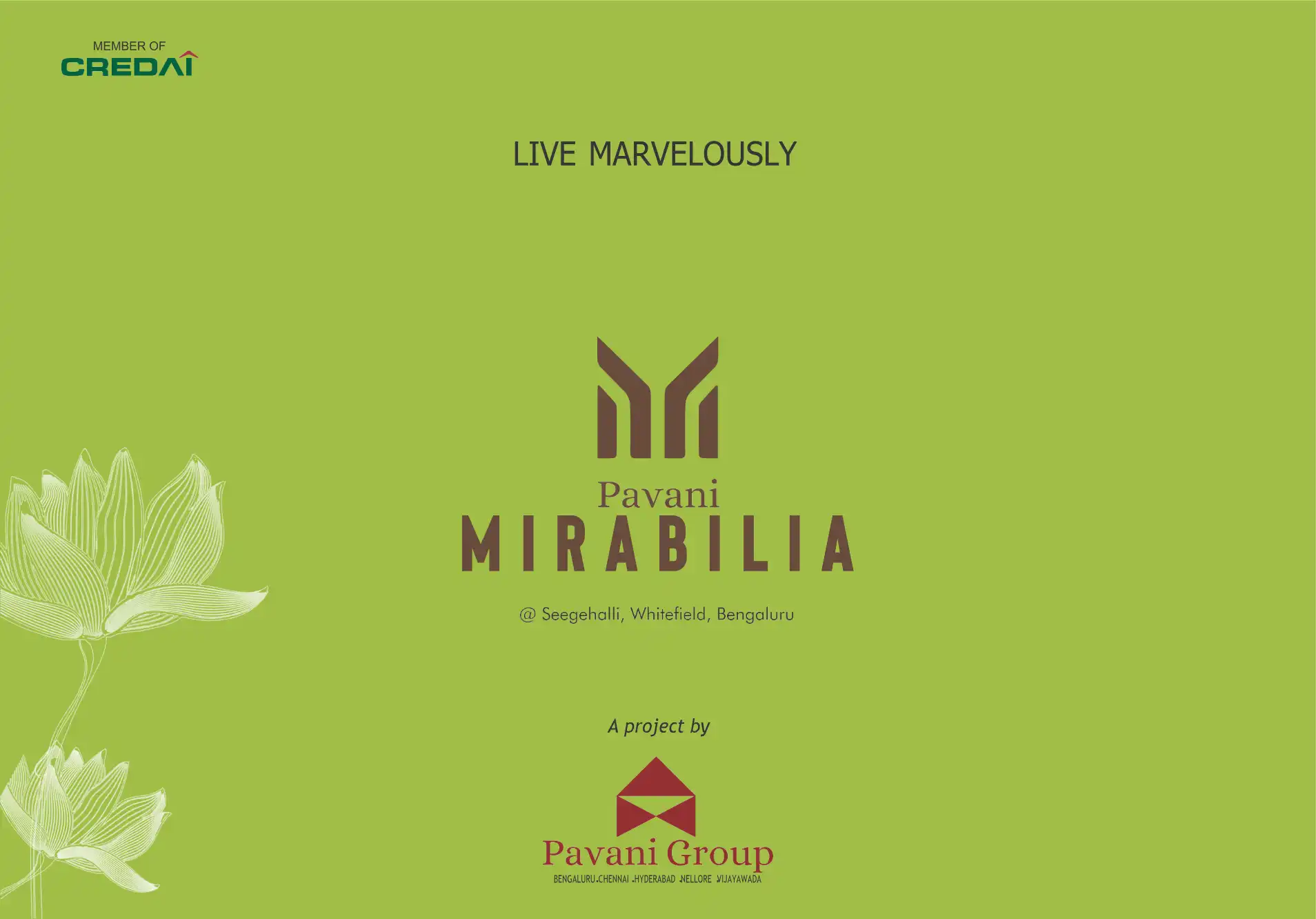 Pavani Mirabilia Phaseii