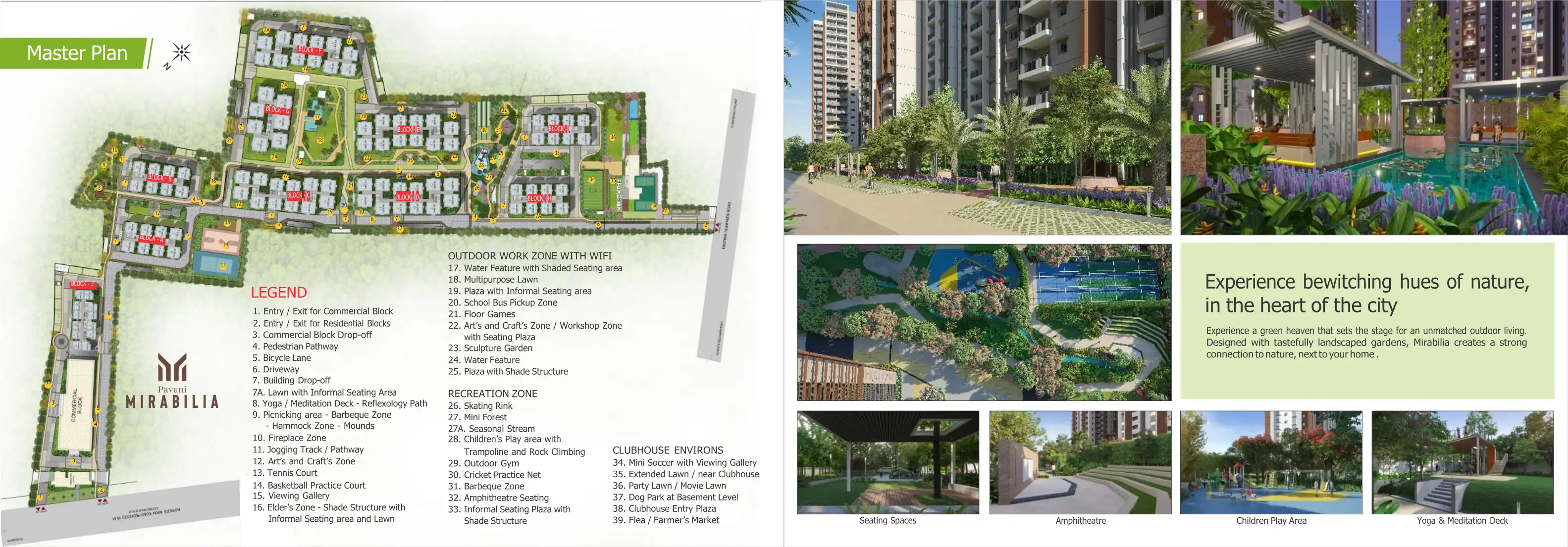 Pavani Mirabilia Phaseii