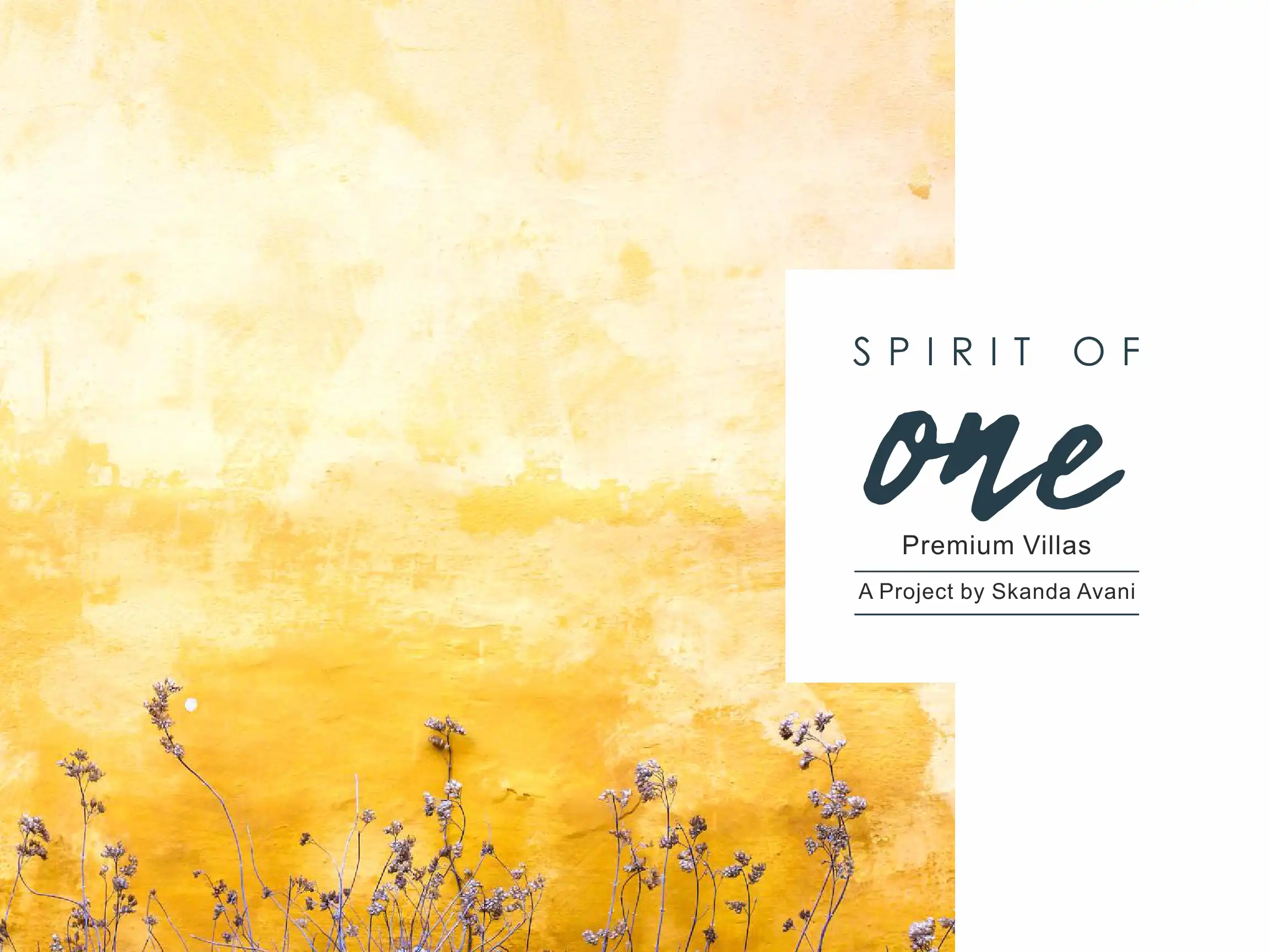 Spirit of One Phase 2