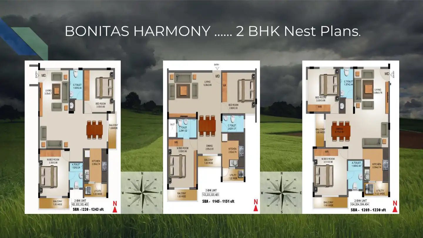 Bonitas Harmony Floor Plans & Layout