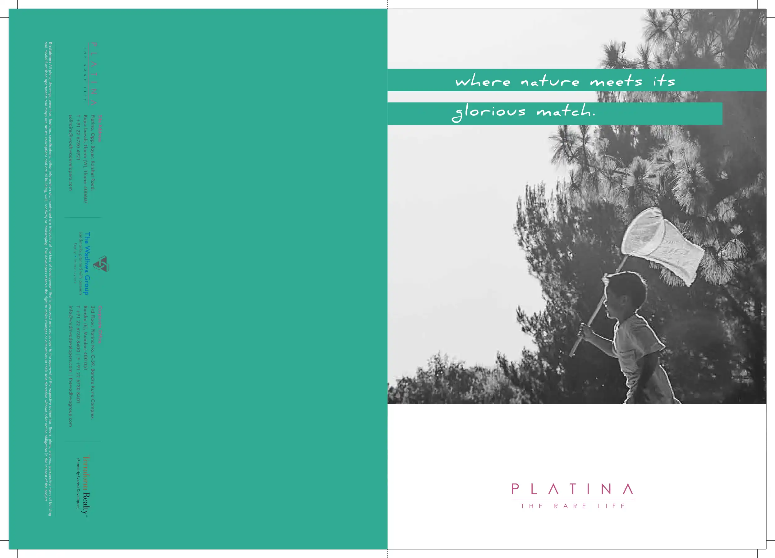 PLATINA project blurred background