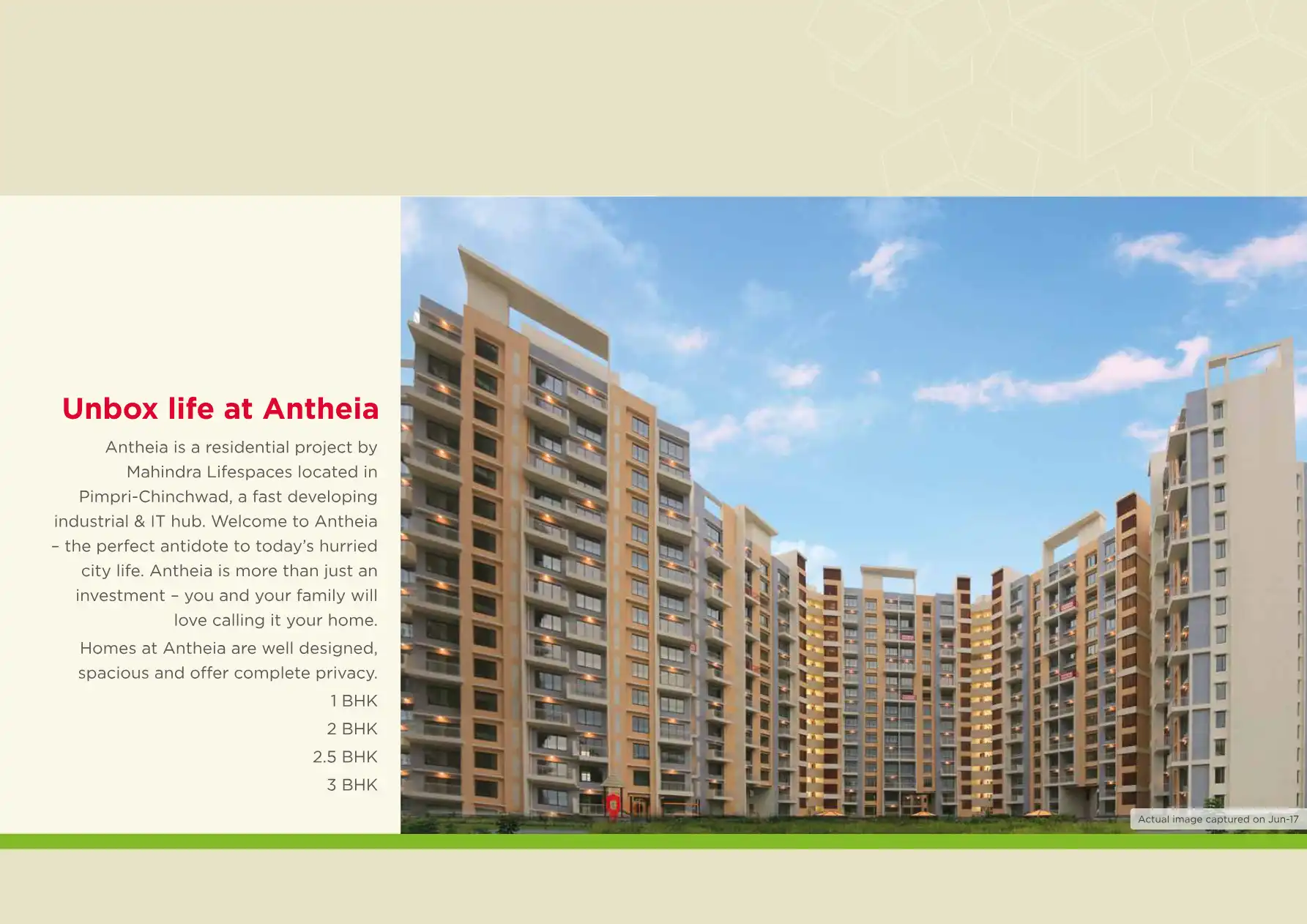 Antheia C1 Floor Plans & Layout