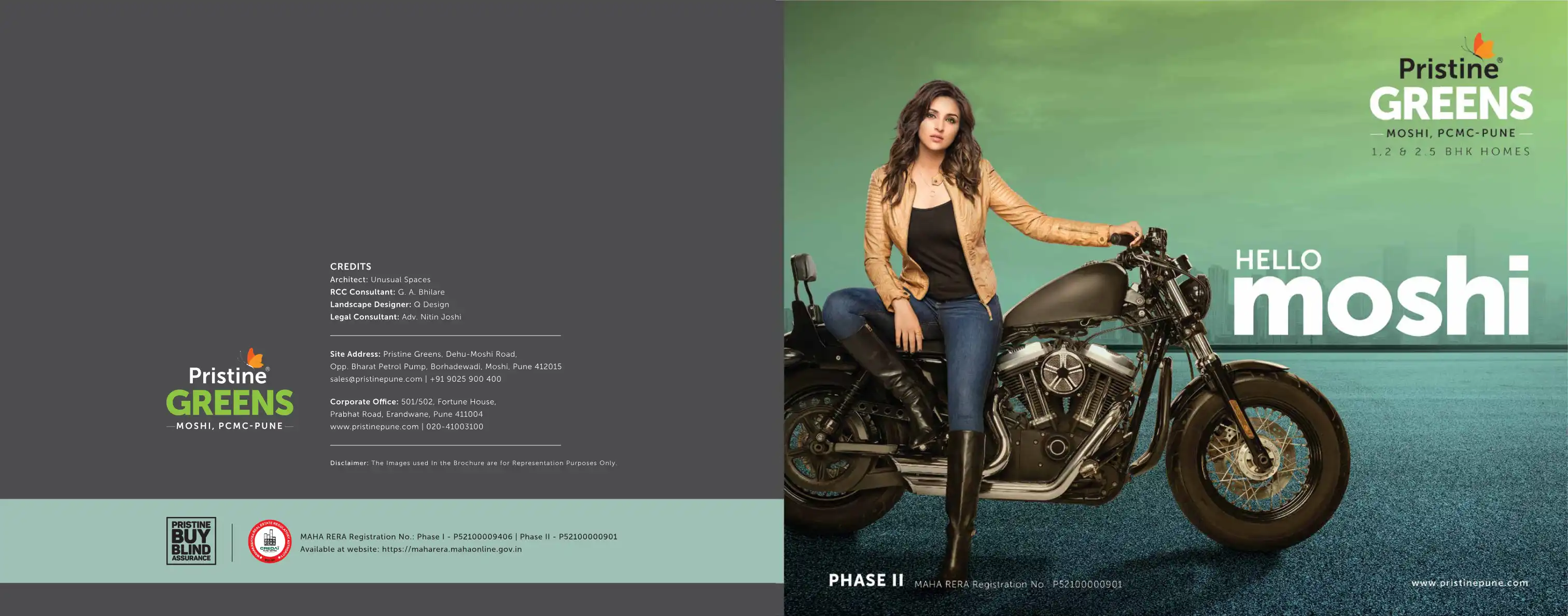 Pristine Greens project blurred background