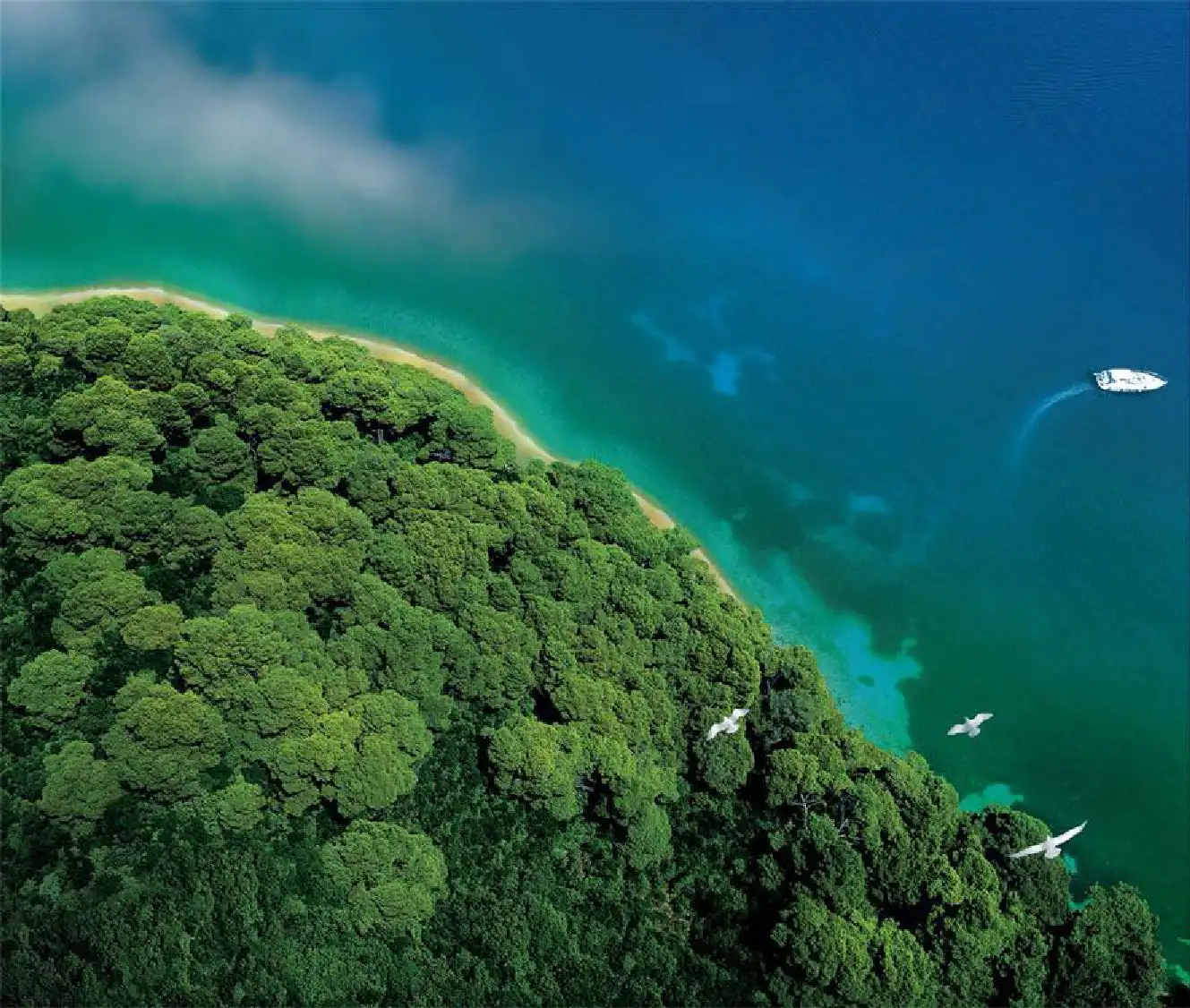 Marvel Aquanas Floor Plans & Layout