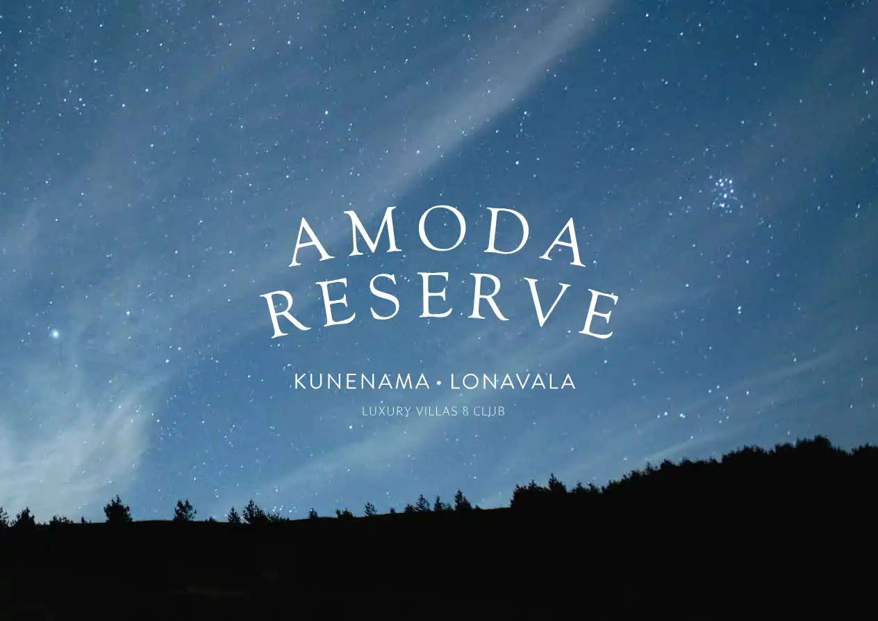 Amoda Reserve - South Park