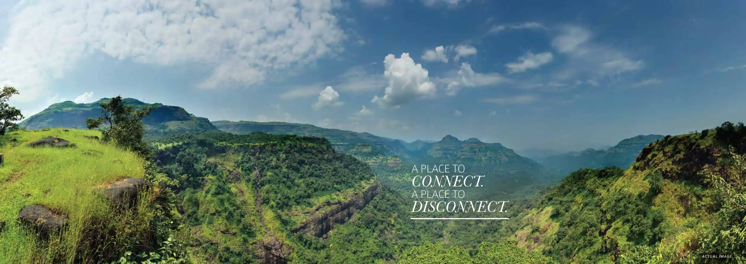 Amoda Reserve - South Park