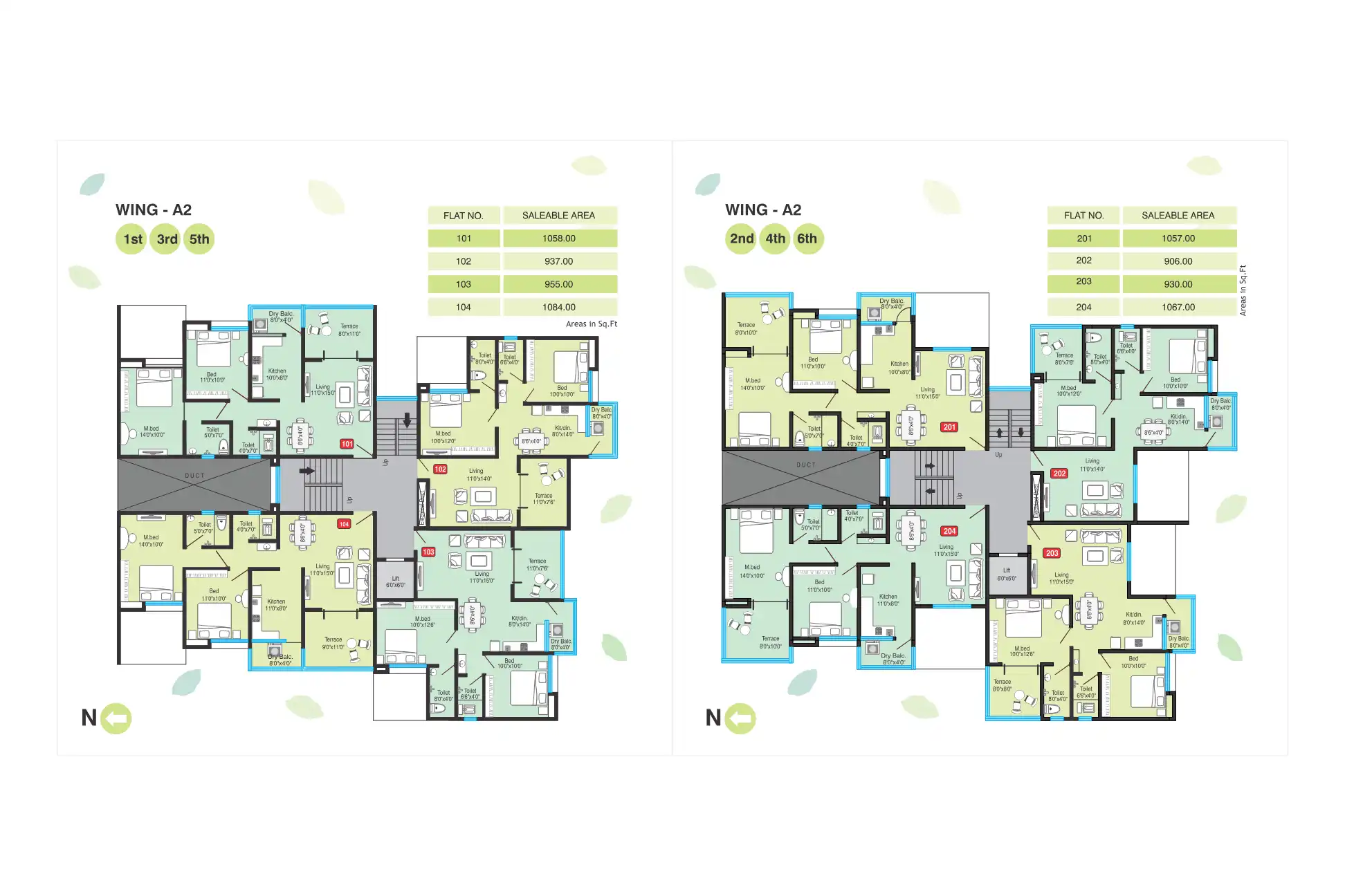 Greenfield C Floor Plans & Layout