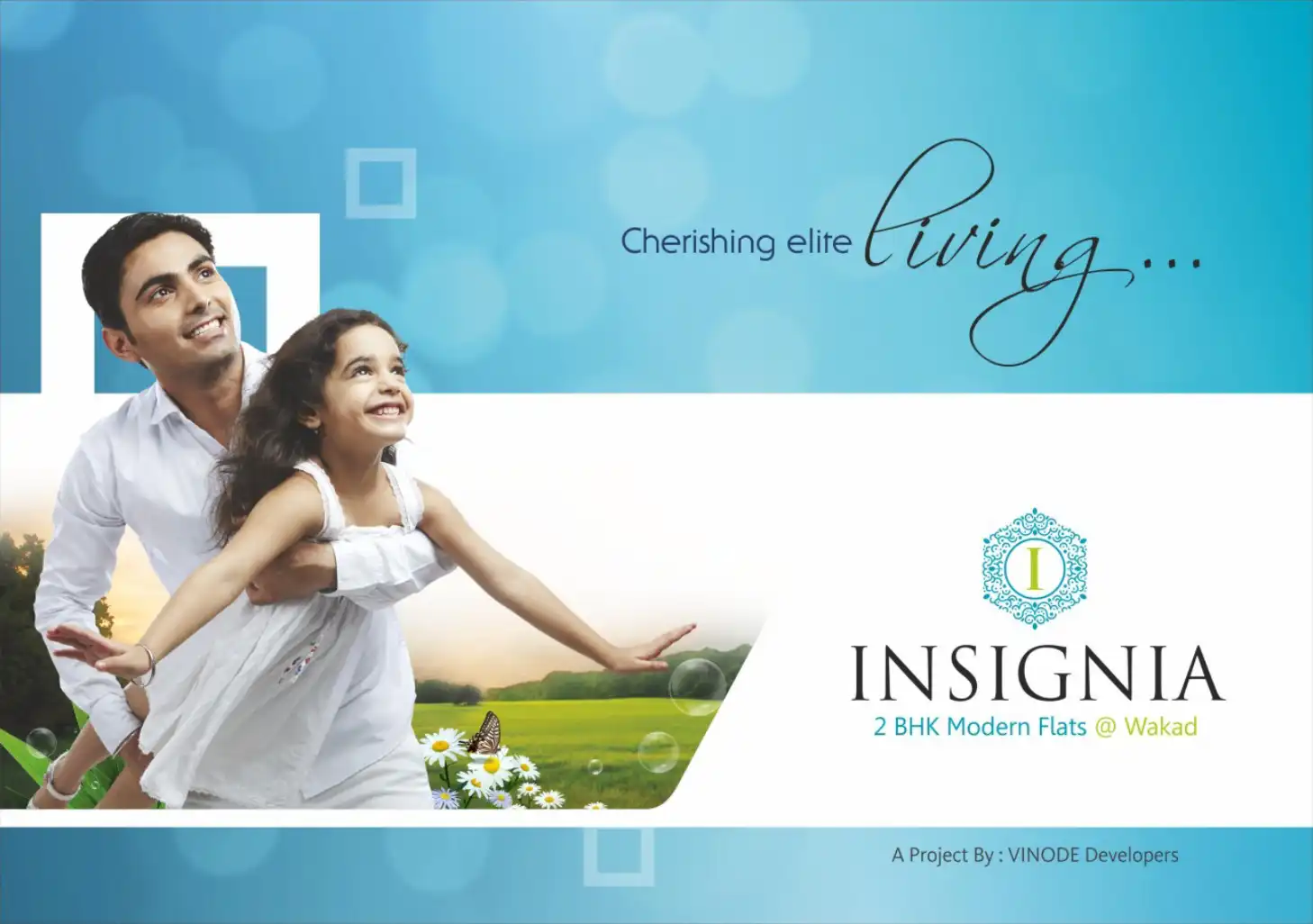 Insignia project blurred background