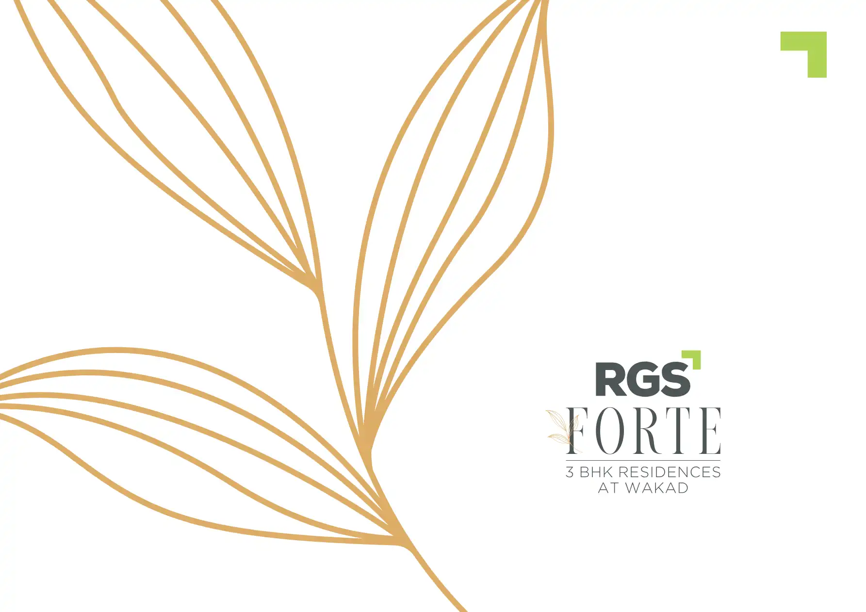 Rgs Forte