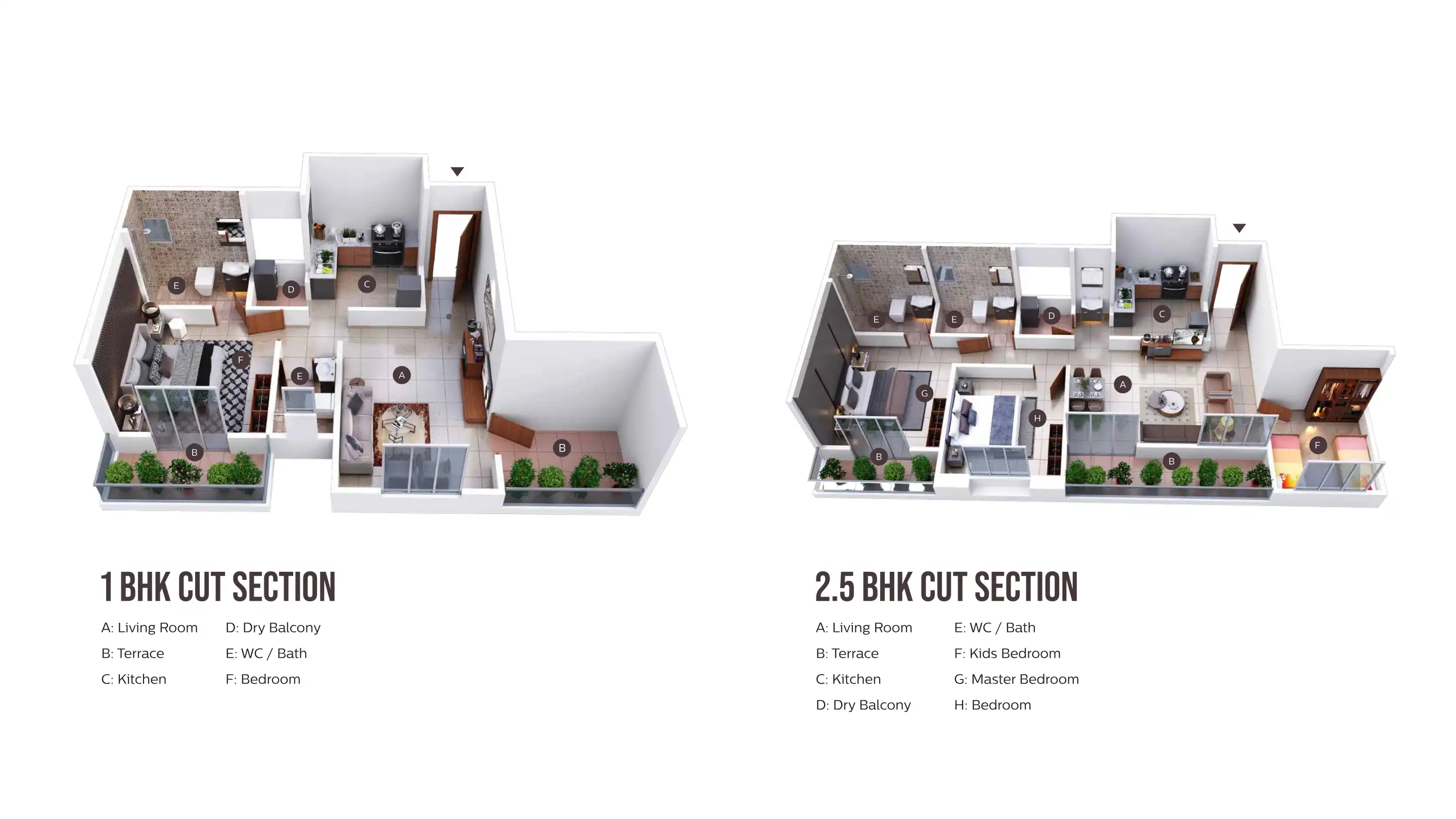 Vishvam Floor Plans & Layout