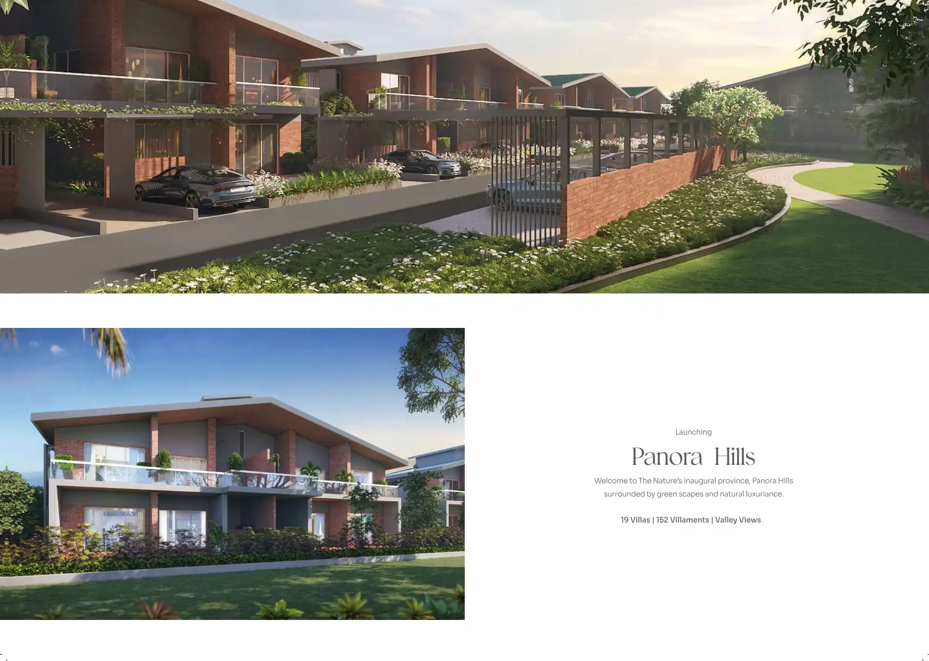 Panora Hills Floor Plans & Layout