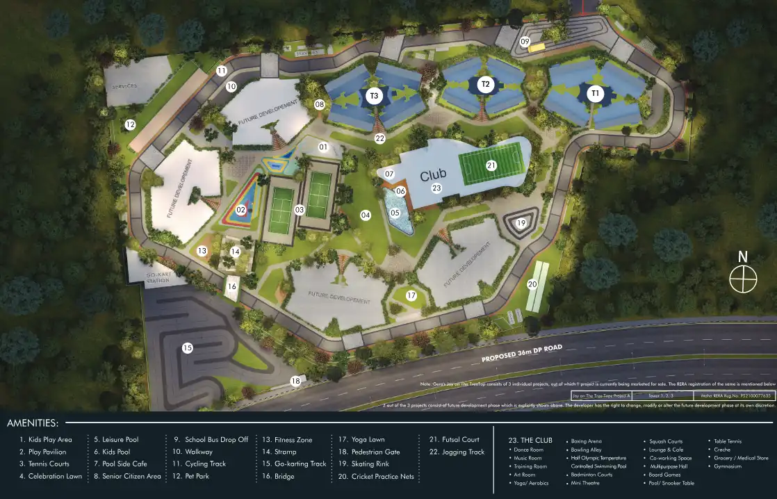 Joy on The Tree Tops