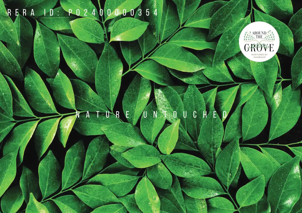 Manbhum Around The Grove