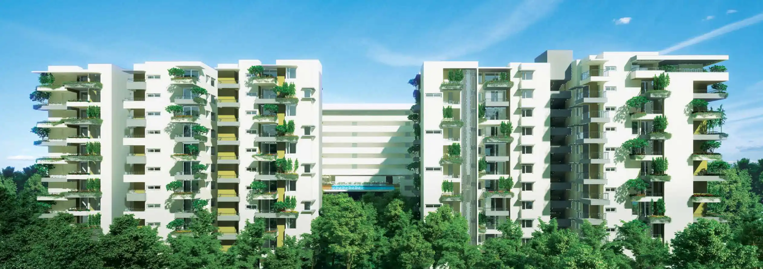 Manbhum Around The Grove