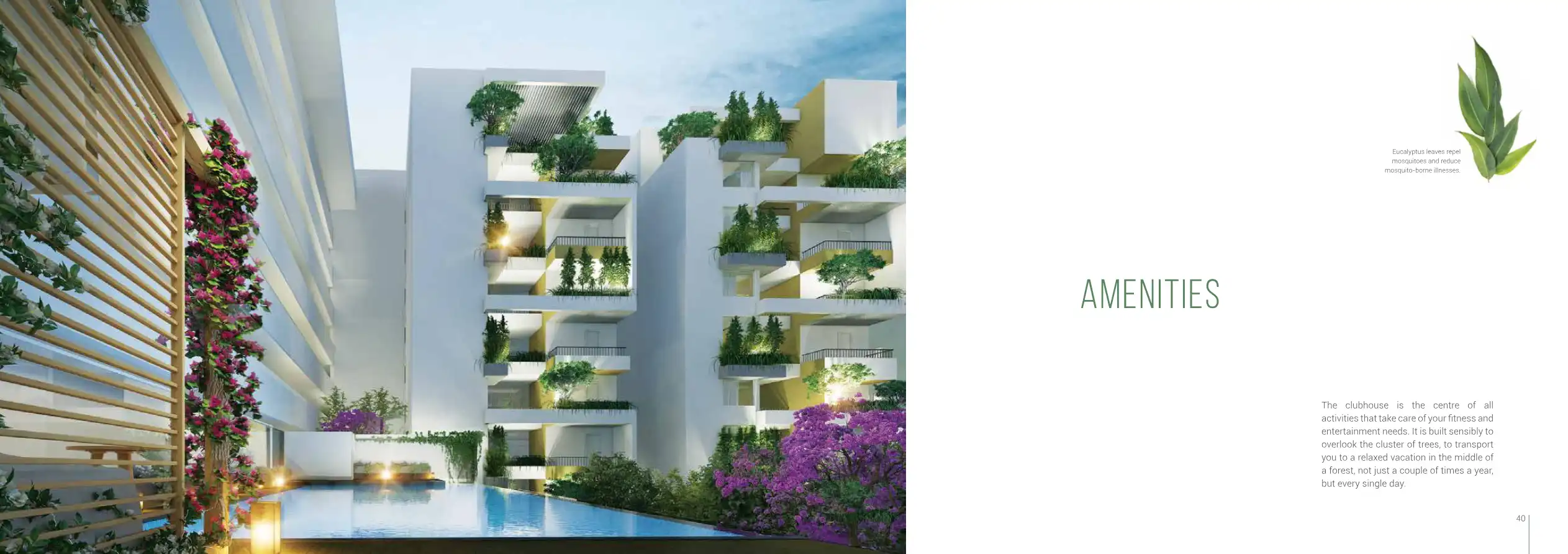 Manbhum Around The Grove