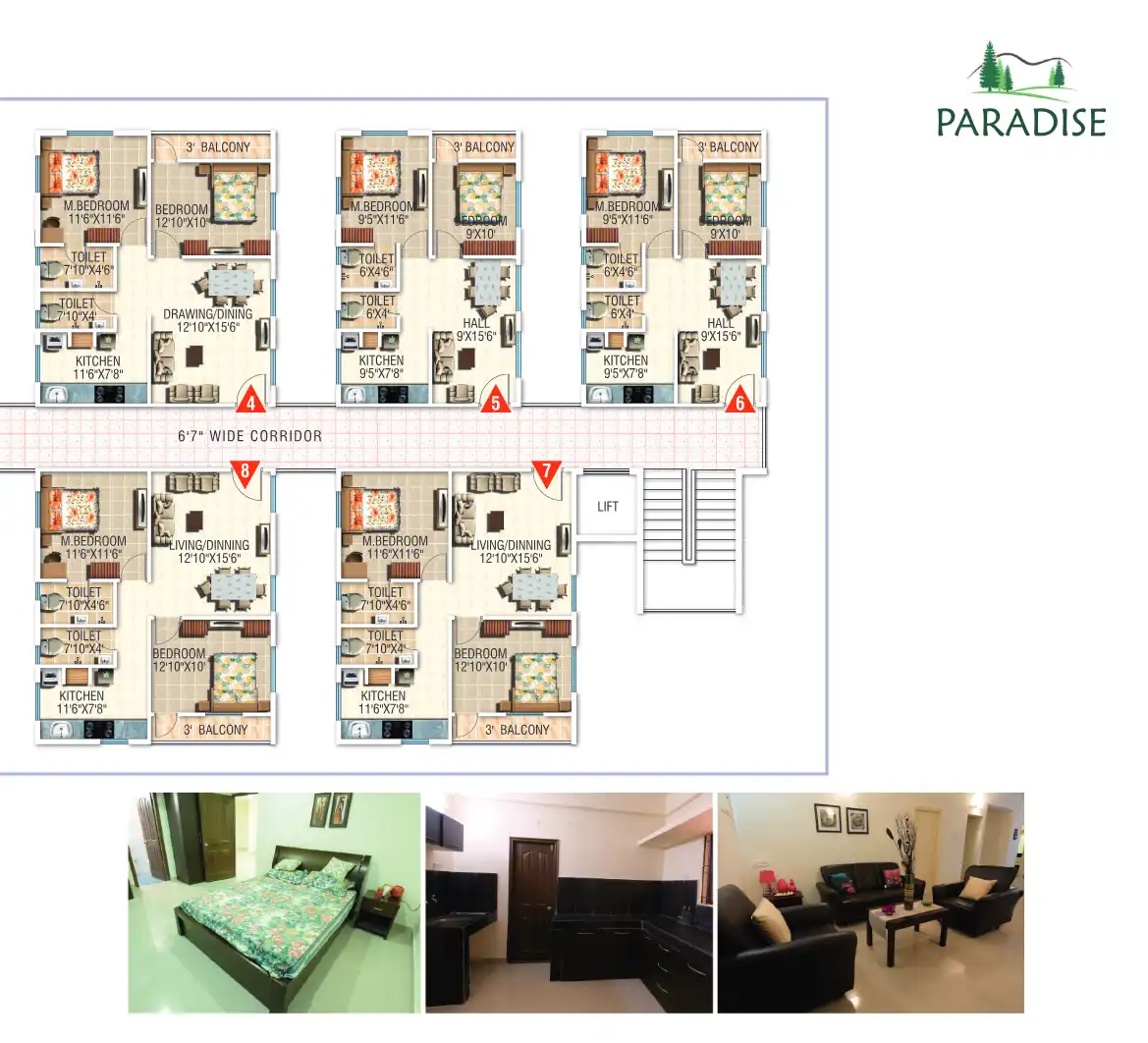 Paradise Floor Plans & Layout