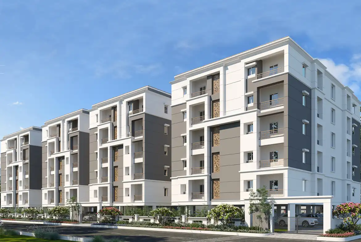 Greater Infras Carnation