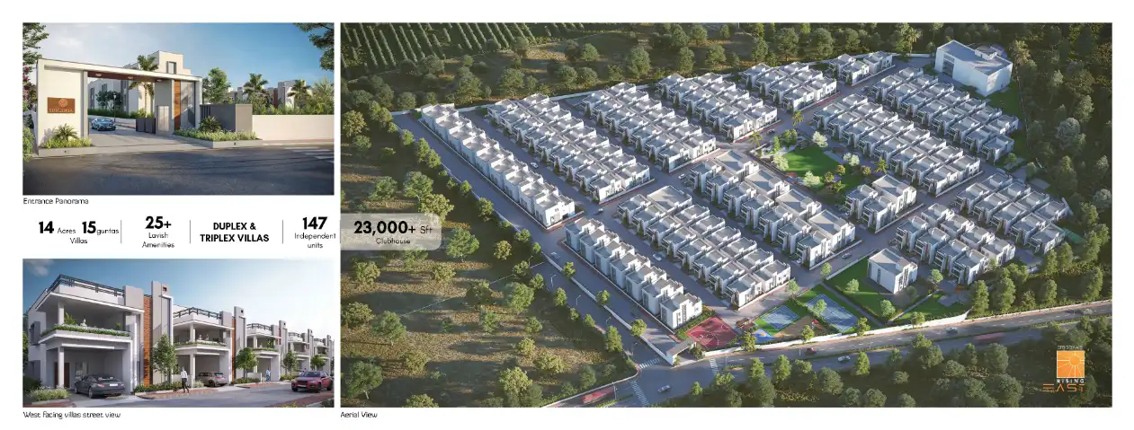 Srigdhas Rising East