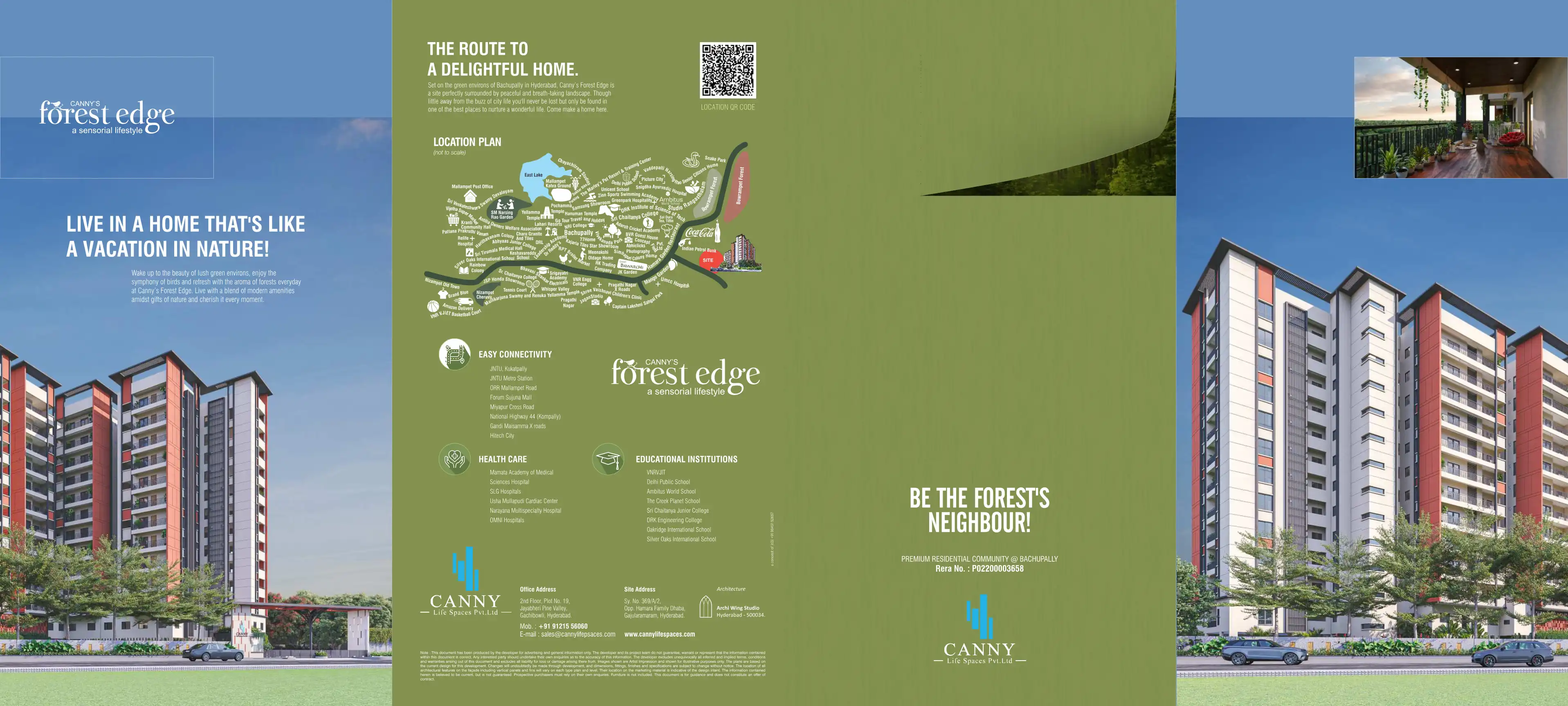 Forest Edge by Canny